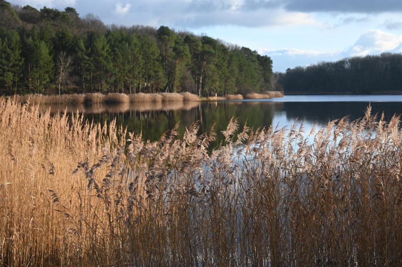 Aux 3 Forêts Bizeneuille Exterior foto